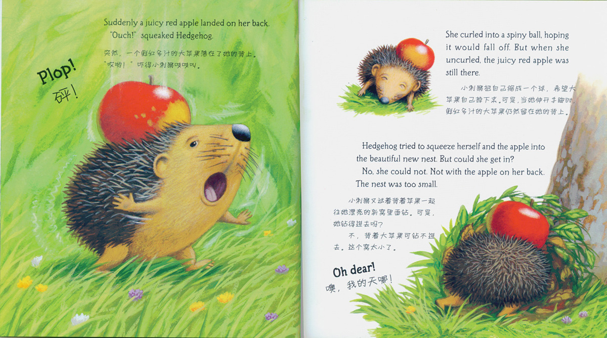 小刺猬的麻烦 (04),绘本,绘本故事,绘本阅读,故事书,童书,图画书,课外阅读
